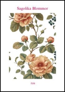 Poster Blommor Rosor Äldre stil