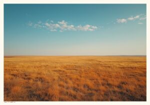 Texas öppet landskap Poster